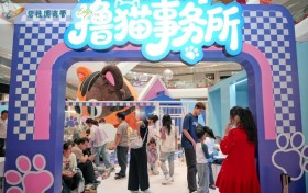 “撸猫事务所”火爆出圈：干净无异味、萌猫超粘人，成亲子年轻人打卡新风口